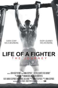 Life of a Fighter: The Journey - Poster