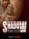 Shadow Parties