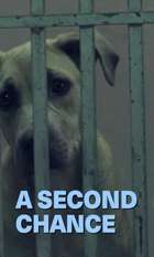 A Second Chance