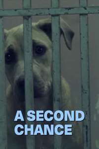 A Second Chance - Poster