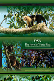 Osa: The Jewel of Costa Rica