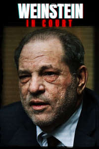 Weinstein: In Court - Poster