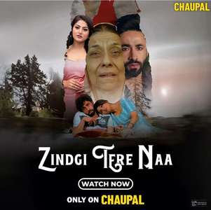 Zindgi Tere Naa - Posters