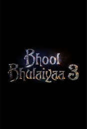 Bhool Bhulaiyaa 3