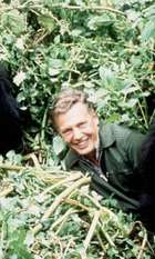 A Gorilla Story: Told by David Attenborough