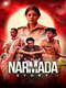 The Narmada Story