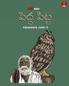 Pedda Pitta - Posters