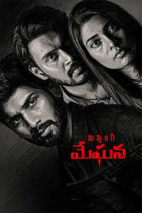 Missing Meghana - Posters