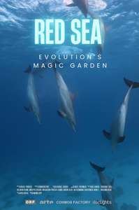 Red Sea: Evolutions Magic Garden - Posters
