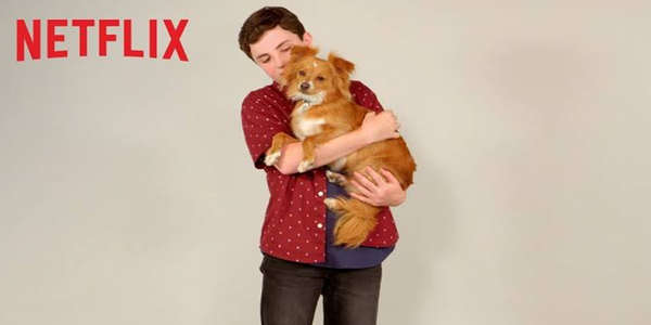The Healing Powers of Dude - Backdrop