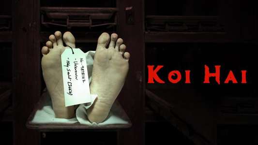 Koi Hai - Backdrop