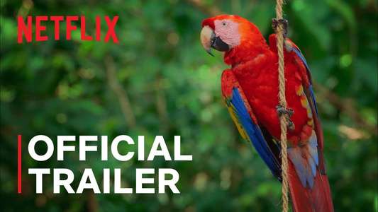 Life in Colour with David Attenborough - Backdrop