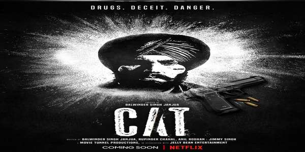 CAT - Backdrop