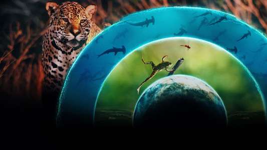 Our Living World - Backdrops