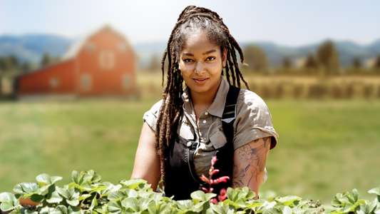 Farm Dreams - Backdrops