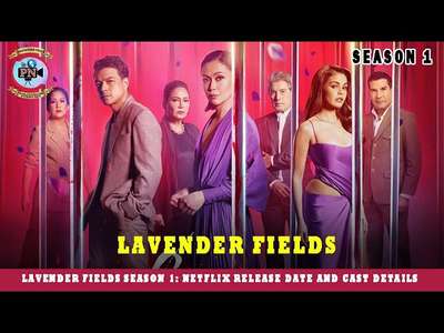 Lavender Fields - Backdrops