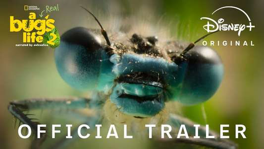 A Real Bug's Life - Backdrops