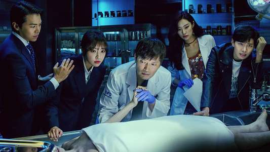 Partners for Justice - Backdrops