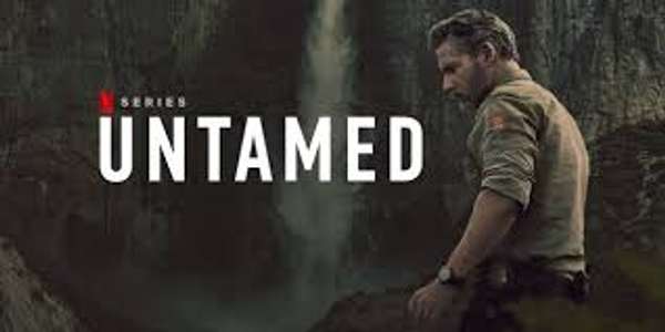 UNTAMED - Backdrops