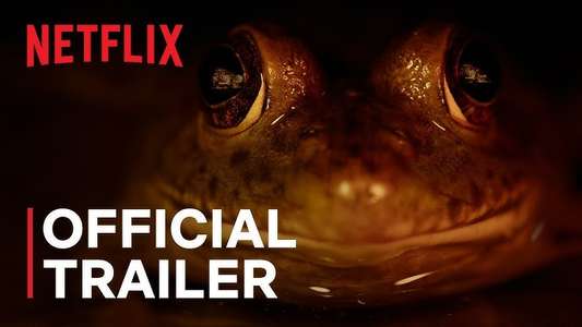 Nightmares of Nature - Backdrops