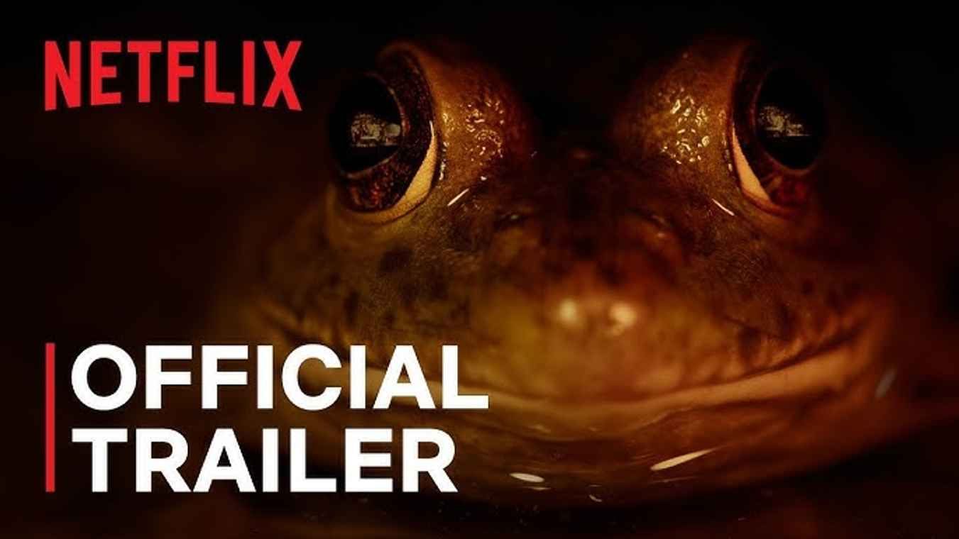 Nightmares of Nature