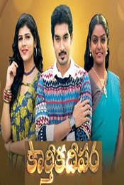 Karthika Deepam Season 1