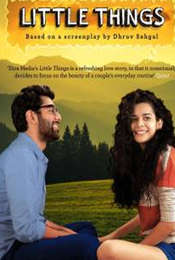 Little Things Season 1