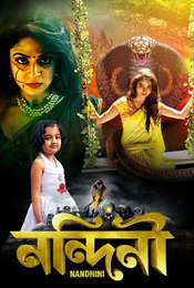 Nandini