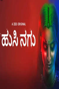 Husi Nagu - Poster