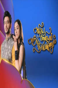Adhisaya Piraviyum Arpudha Pennum - Poster