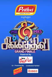 Mr and Mrs Chinnathirai Season 1