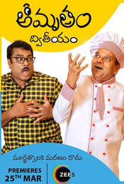 Amrutham Dhvitheeyam Season 1
