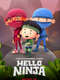 Hello Ninja : Season 3