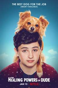 The Healing Powers of Dude - Poster