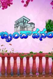 Brundavanam Season 1