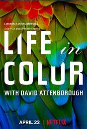 Life in Colour with David Attenborough