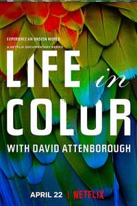 Life in Colour with David Attenborough - Poster
