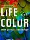 Life in Colour with David Attenborough