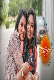 Kavyanjali Telugu Season 1