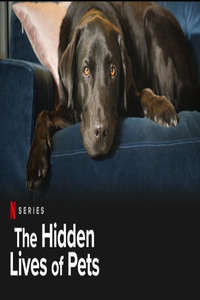 The Hidden Lives of Pets - Poster