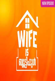 Wife Is Beautiful Season 1