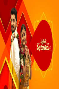 Pallakilo Pellikuturu - Poster