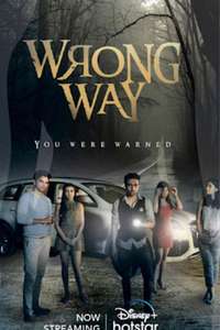 Wrong Way - Poster