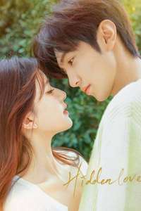 Hidden Love - Posters