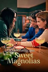 Sweet Magnolias - Posters