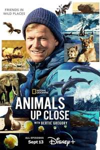 Animals Up Close with Bertie Gregory - Posters