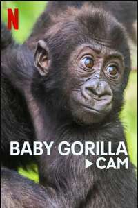 Baby Gorilla Cam - Poster
