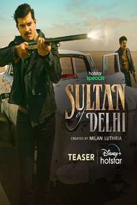 Sultan Of Delhi - Posters