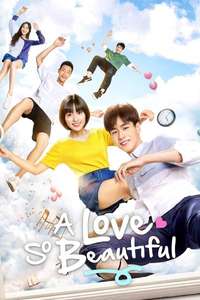 A Love So Beautiful - Posters