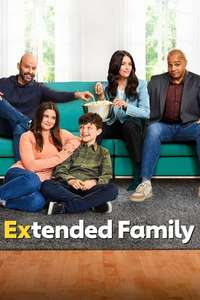 Extended Family - Posters